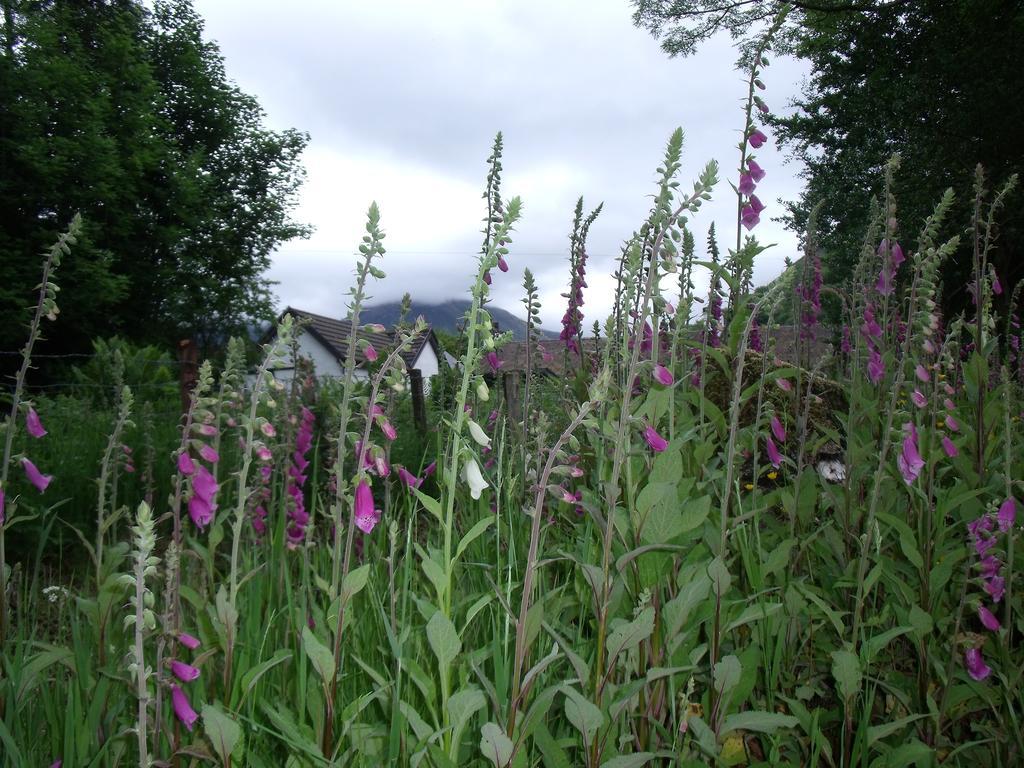 Beechwood Cottage B&B Glencoe Esterno foto