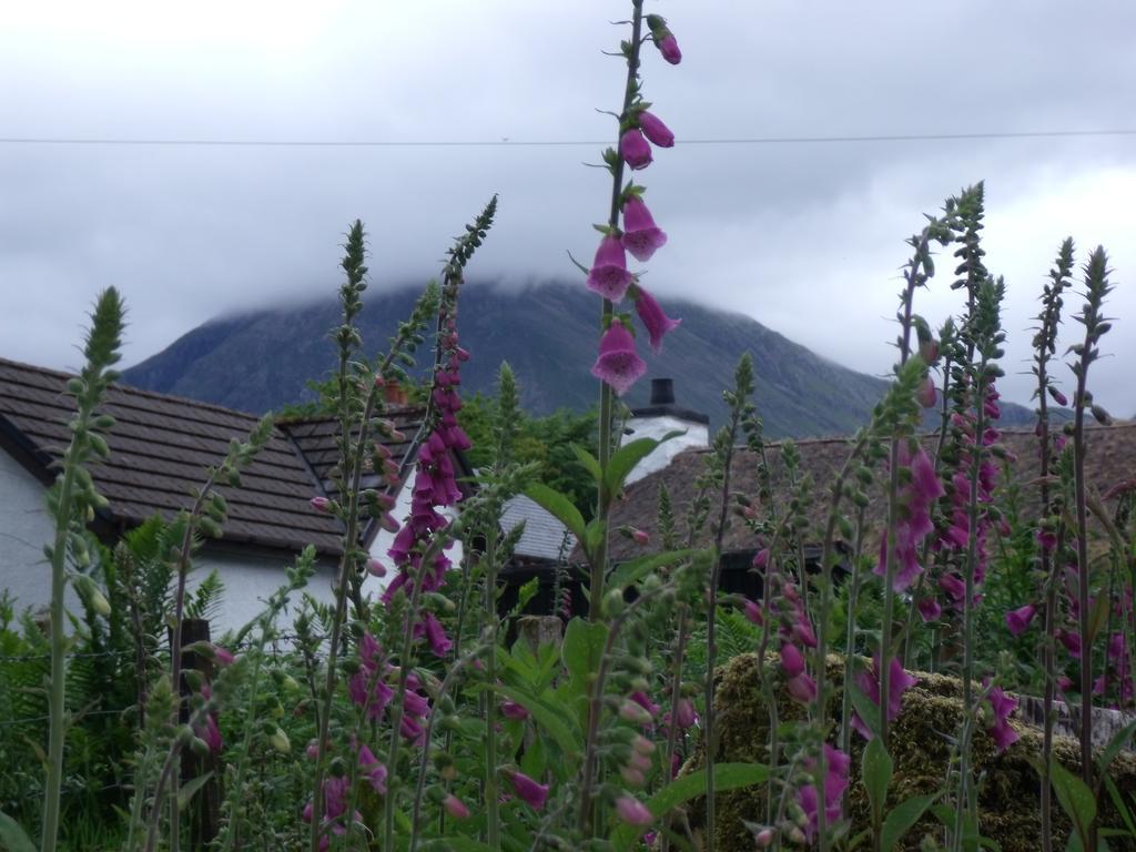 Beechwood Cottage B&B Glencoe Esterno foto
